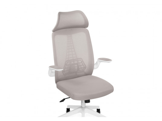 Компьютерное кресло Lokus light gray