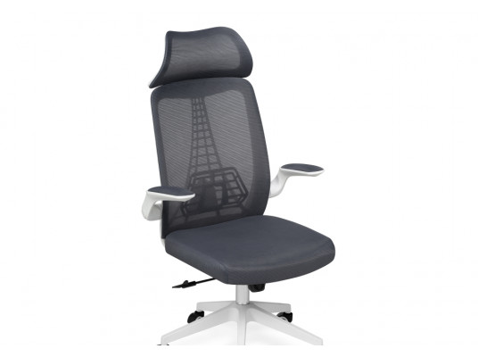 Компьютерное кресло Lokus dark gray