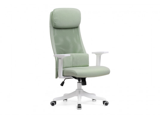 Компьютерное кресло Salta light green \ white
