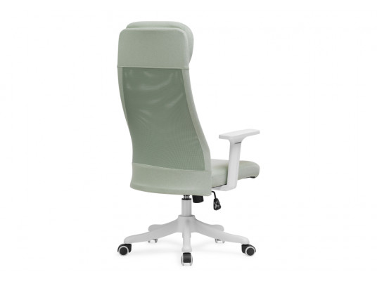 Компьютерное кресло Salta light green \ white