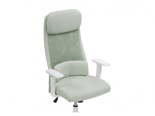Компьютерное кресло Salta light green \ white