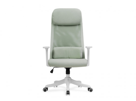 Компьютерное кресло Salta light green \ white